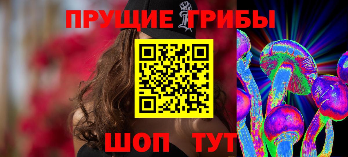 Псилоцибиновые грибы GOLDEN TEACHER  Вход с VPN  наркотики  Ленинск-Кузнецкий 